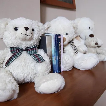 Zamkowy מלון ואלבריץ'