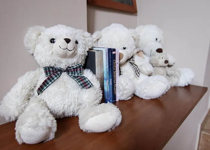 Zamkowy מלון ואלבריץ'